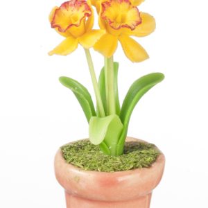 DAFFODILS IN POT/PEACH