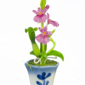 ONCIDIUM ORCHID/LAVENDER