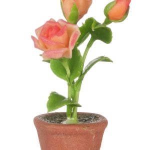 ROSES IN POT/ORANGE