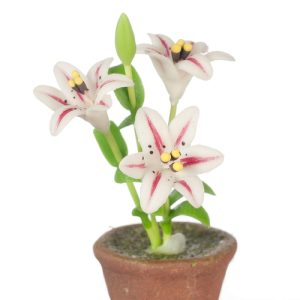 LILIES/WHITE/RED STRIPE