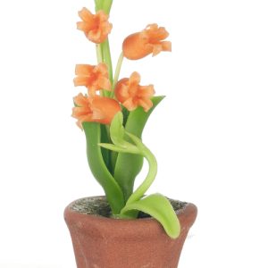 LILIES IN POT/ORANGE