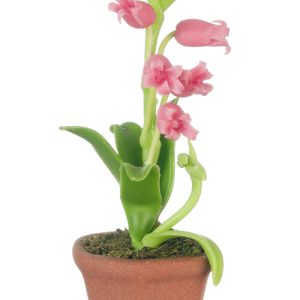 LILIES IN POT/PINK