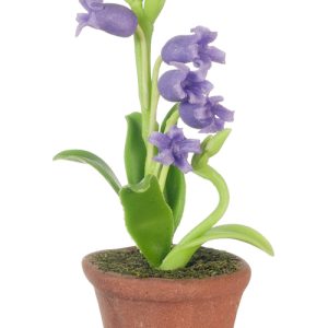 LILIES IN POT/PURPLE