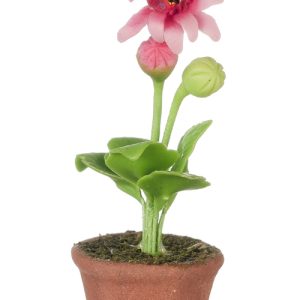 GERBERA DAISY/PINK
