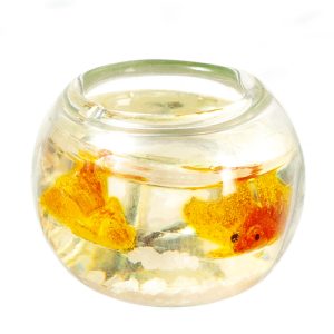 FISH BOWL/LIGHT SAND