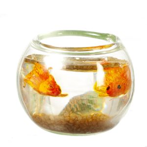 FISH BOWL/BROWN SAND