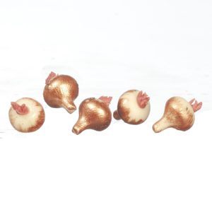 ONIONS/100pcs