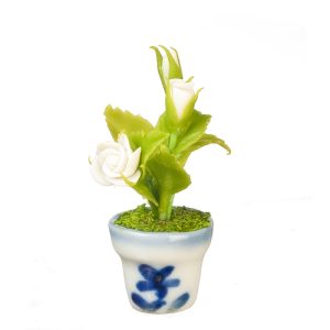 ROSE IN POT/WHITE