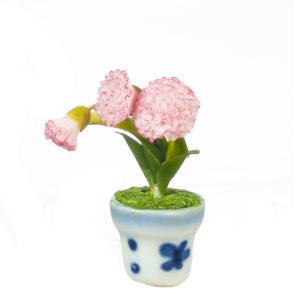CARNATION IN POT/PINK