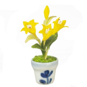 LILY IN POT