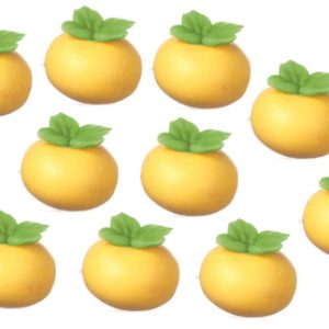 ORANGES/10pcs