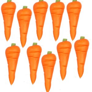 CARROTS/10pcs
