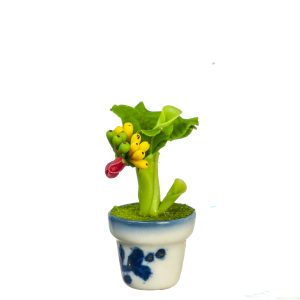 BANANA TREE PLANT