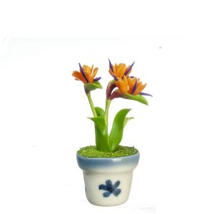 BIRD OF PARADISE PLANT