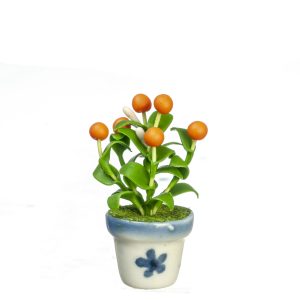 ORANGE TREE PLANT