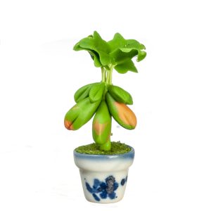 PAPAYA TREE PLANT