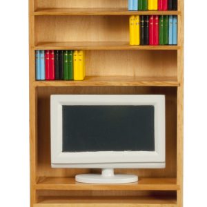 BOOK SHELF W/T.V.&BOOKS