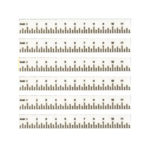 RULER/ORANGE/SET/6