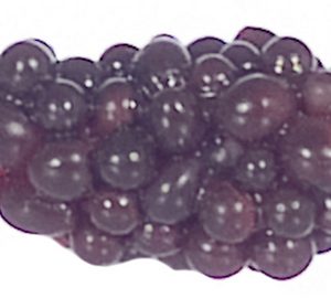 BUNCH OF GRAPES/PURPLE