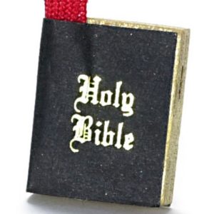 1in BIBLE