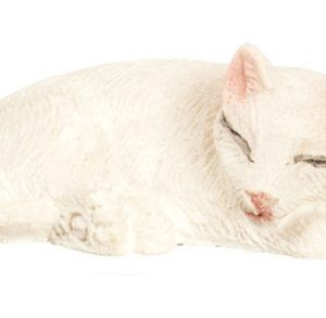 WHITE CAT/SLEEPING