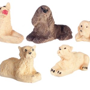 DOGS/ASSORTED
