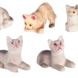 CATS/ASSORTED