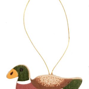 FLATBACK DUCK