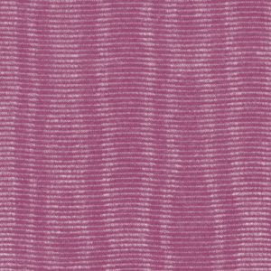W.P.MINI MOIRE/BURGUNDY/3