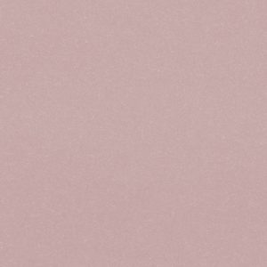 W.P.HISTORY/SOLID/3