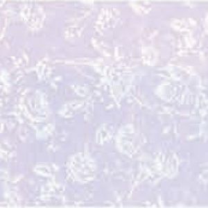 W.P.TIFFANY REVERSE/LIL/3