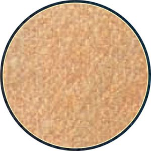 CARPET/BEIGE/18x26