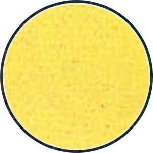 CARPET/YELLOW/18x26