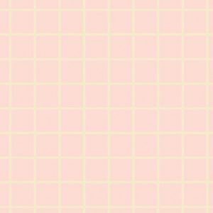 NO WAX FLOOR/PINK CHECK