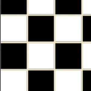NO WAX FLOOR/BL-WH CHECK