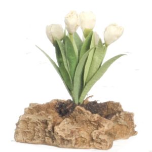 TULIPS PLANT ON ROCK/GRN.