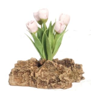 TULIPS PLANT ON ROCK/PINK