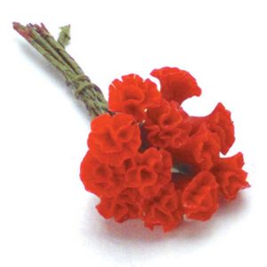 LARGE CARNATIONS/12/RED