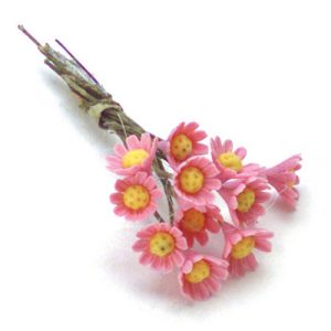 DAISY/12/PINK