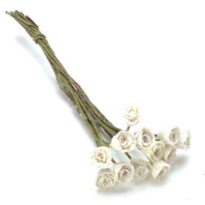 TULIPS/12pcs/WHITE