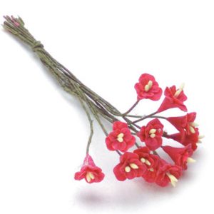 CAMELLIAS/12pcs/HOT PINK