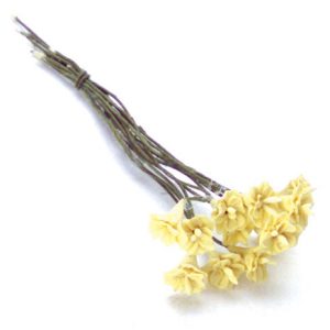 CAMELLIAS/12pcs/YELLOW