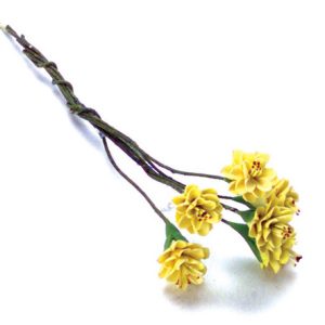 PRUNUS/6pcs/YELLOW