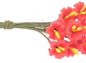 LILIES/12pcs/HOT RED