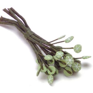 WHITE VEIN GERANIUMS/6