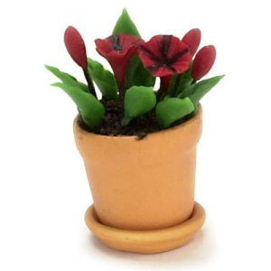 PETUNIAS IN POT/RED/BLACK