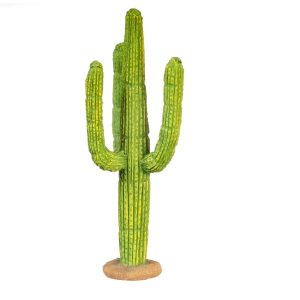 SAGUARO CACTUS