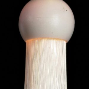 OPTICS FIBRE LAMP/12VS