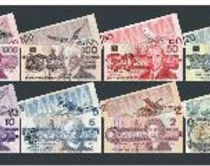CANADIAN MONEY/24pcs