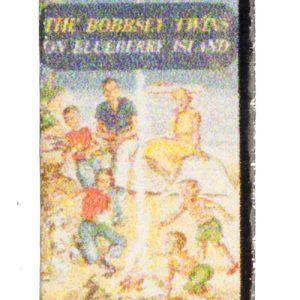 THE BOBBSEY TWINS/BLUEBE
